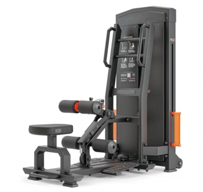 SELECTORIZED STANDING HIP TH...