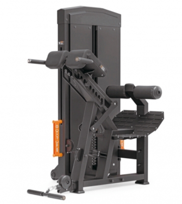 SELECTORIZED BACK EXTENSION