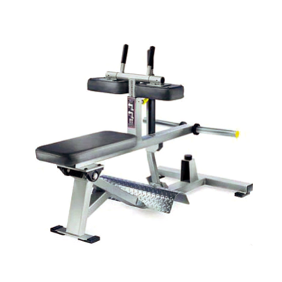 SEATED CALF RAISE
