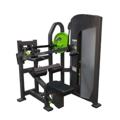 SEATED PUSHDOWN
