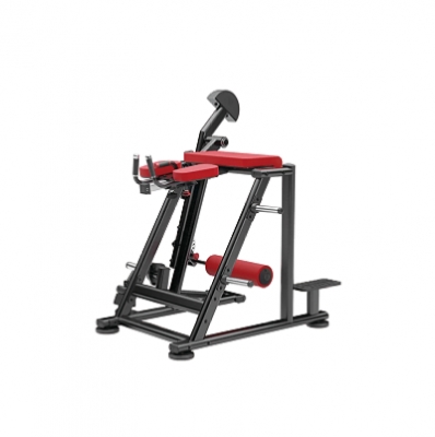 REVERSE HYPER EXTENSION
